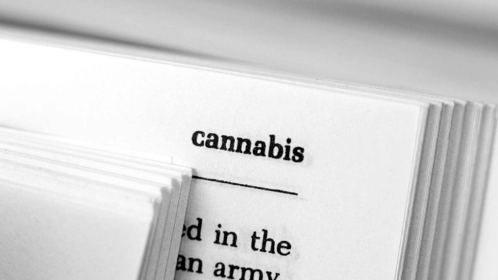 Cannabis discussion paper exploring the effects on mental capacity